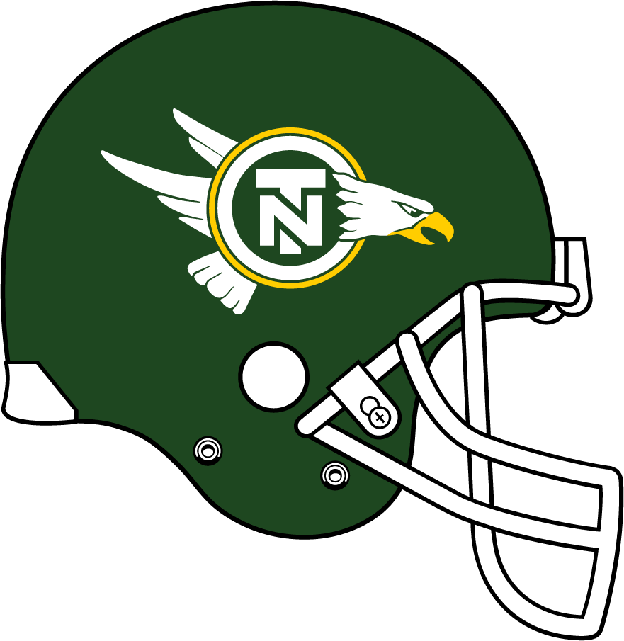 North Texas Mean Green 1983-1991 Helmet diy DTF decal sticker